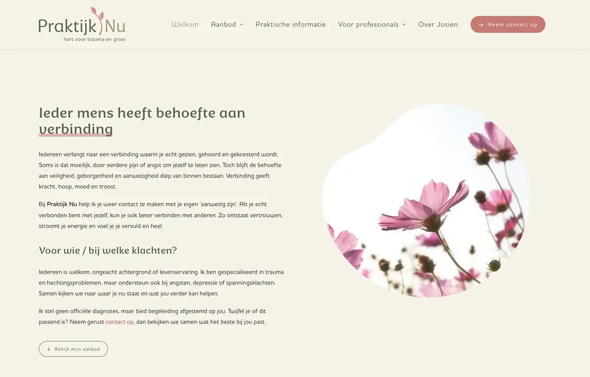 Website Praktijk Nu